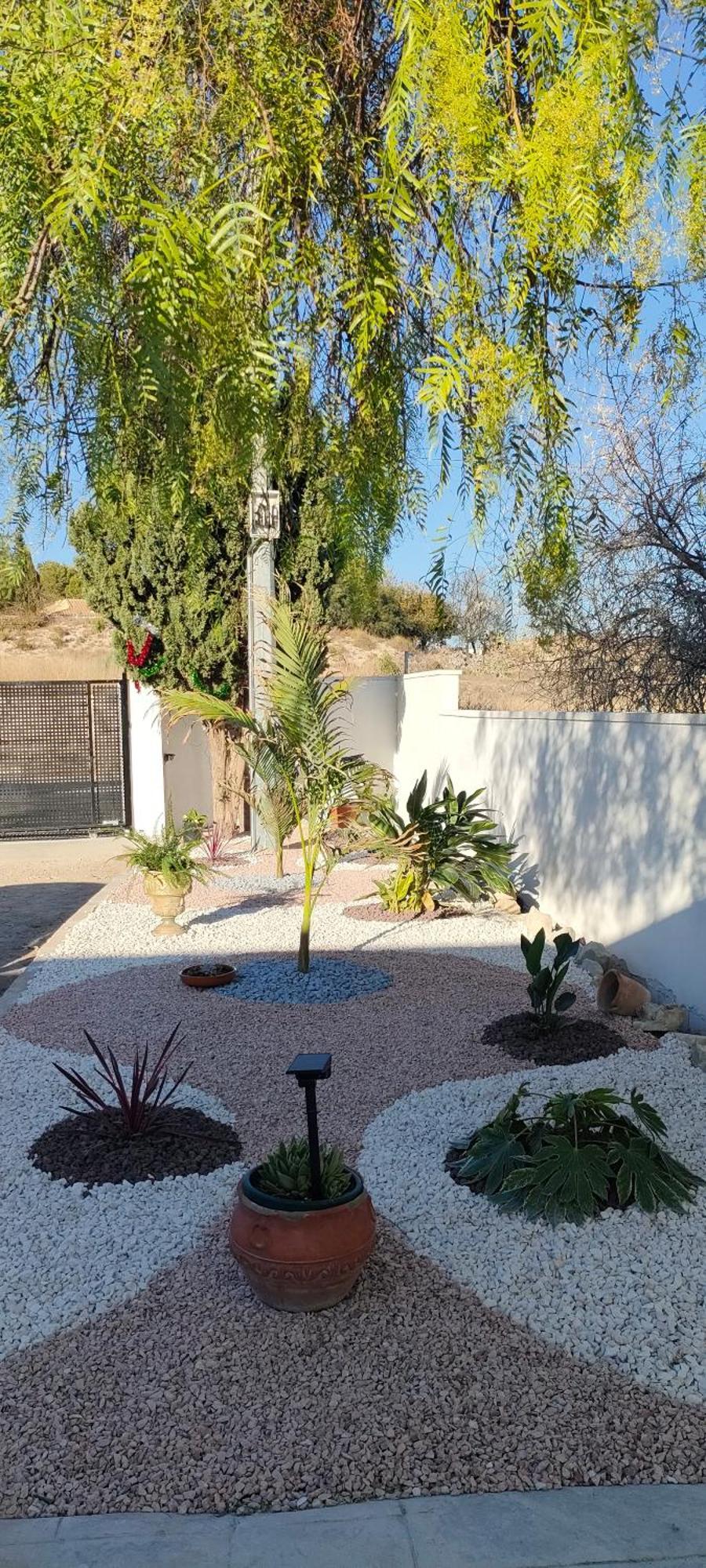 Casa Rural Con Piscina Climatizada Y Barbacoa A 10 Km De Alicante Y Playas, 3000 M2 De Terreno Ельче Екстер'єр фото